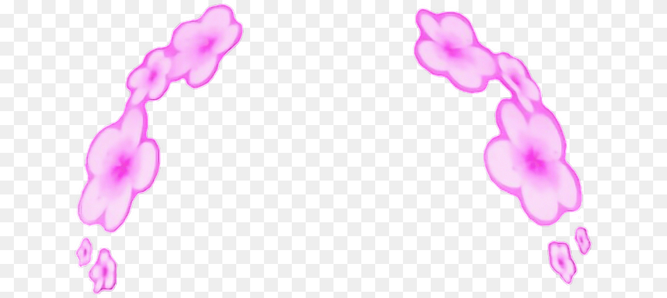 Photographic Filter Clip Art Snapchat Filter Background, Flower, Petal, Plant, Purple Free Transparent Png