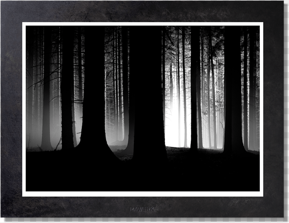 Photographic Paper, Plant, Tree, Silhouette, Weather Png Image