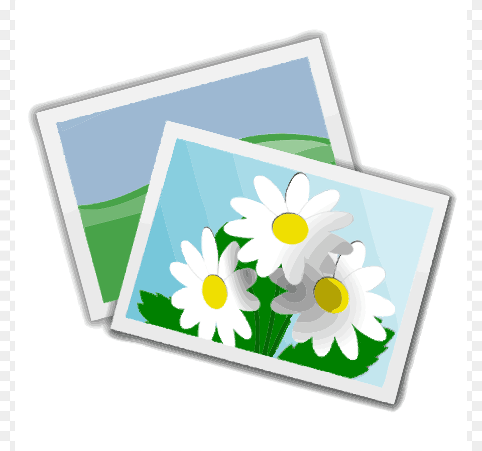 Photographs Cliparts, Daisy, Envelope, Flower, Greeting Card Free Transparent Png