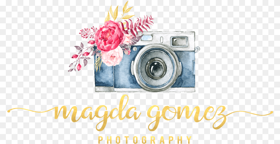 Photography Camera Logo Hd, Flower, Plant, Rose, Flower Arrangement Free Png