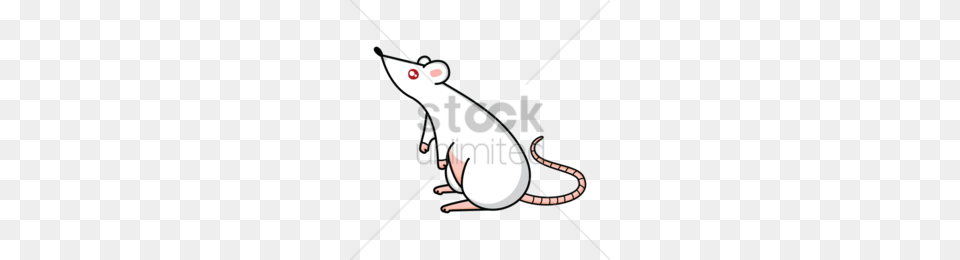 Photography Clipart Photography Clip Art Illustration, Animal, Mammal, Rat, Rodent Png