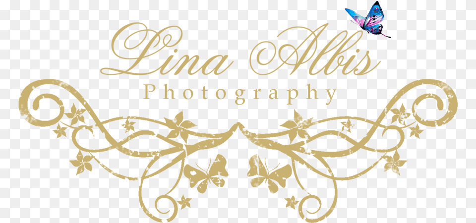 Photography Logo File Calligraphy, Graphics, Art, Pattern, Floral Design Png Image