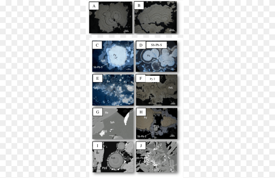 Photomicrographs In Reflected Light And Bse Pyrite, Art, Collage, Nature, Outdoors Free Png