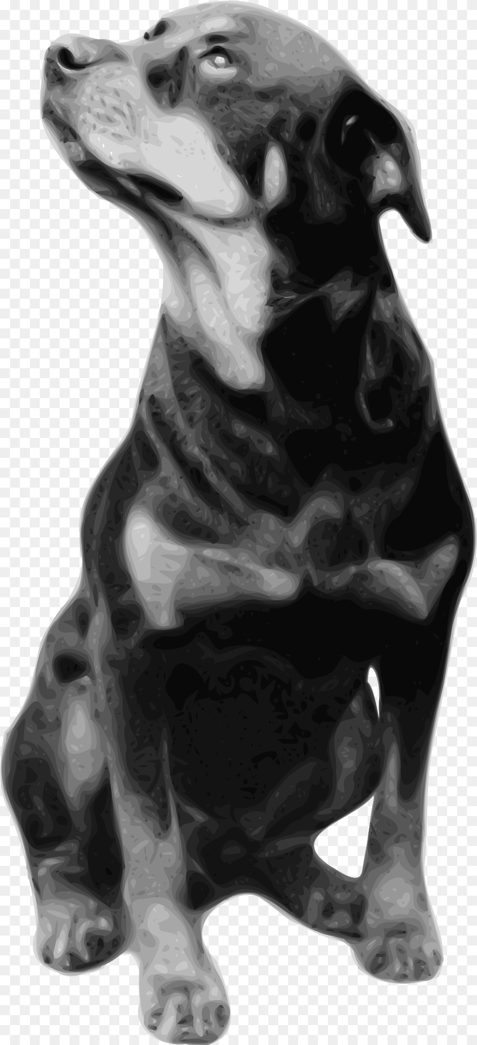 Photorealistic Vector Drawing Of Rottweiler Loss Of A Rottweiler, Animal, Canine, Dog, Mammal Free Png