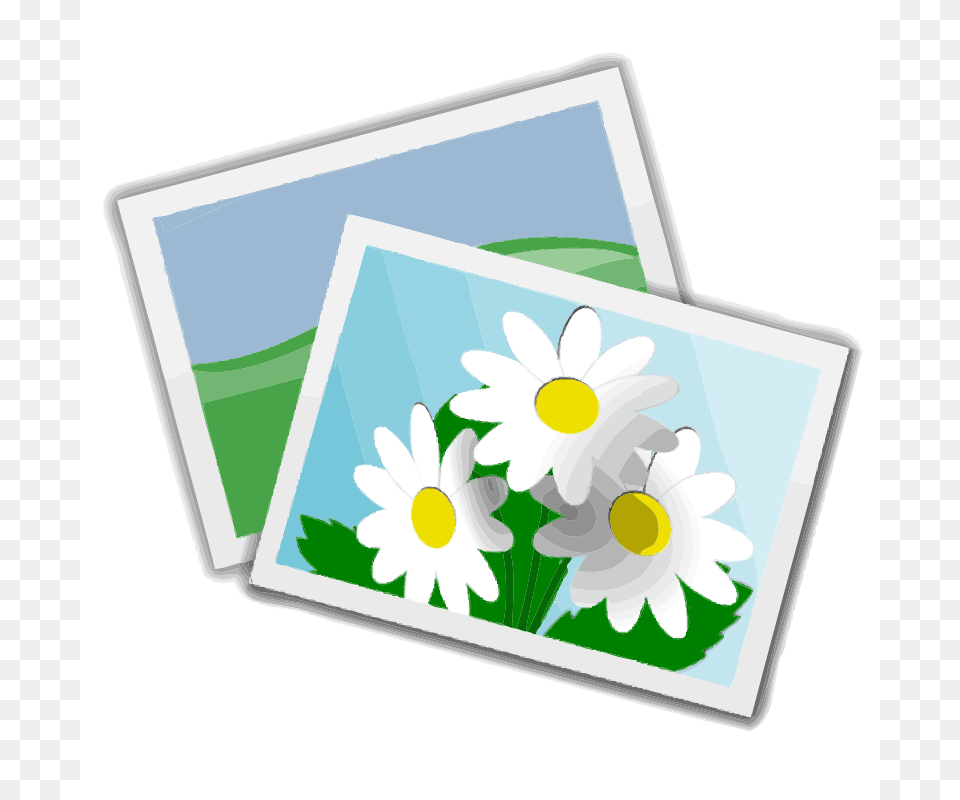 Photos, Daisy, Envelope, Flower, Greeting Card Free Transparent Png