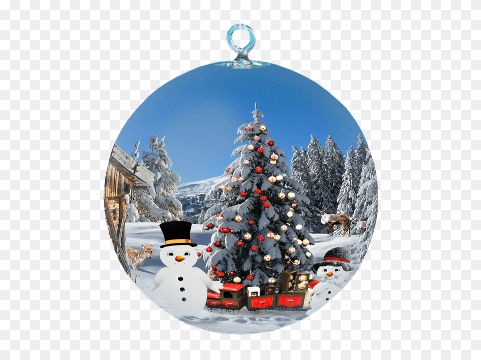 Photos Christmas Tree Isolated Search Beautiful Christmas Images Hd, Plant, Winter, Snowman, Snow Free Png Download