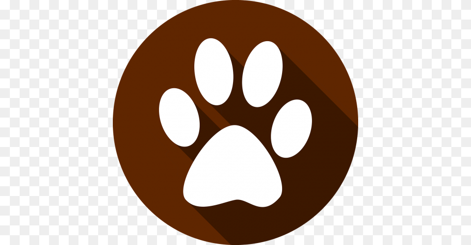 Photos Dog Paw Search Download, Food, Sweets, Disk Free Png