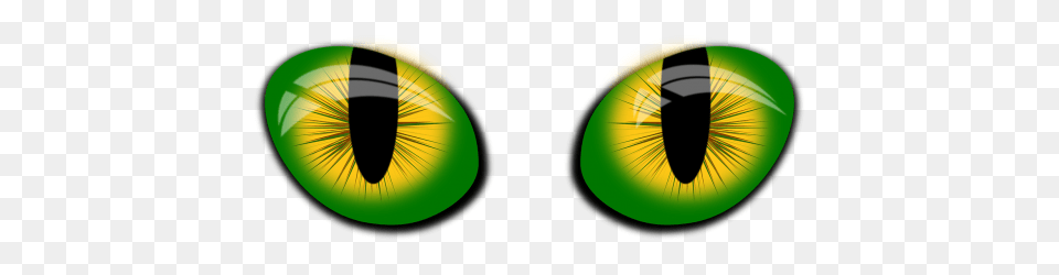 Photos Eyes Vector Search, Sphere, Green, Disk, Accessories Png Image