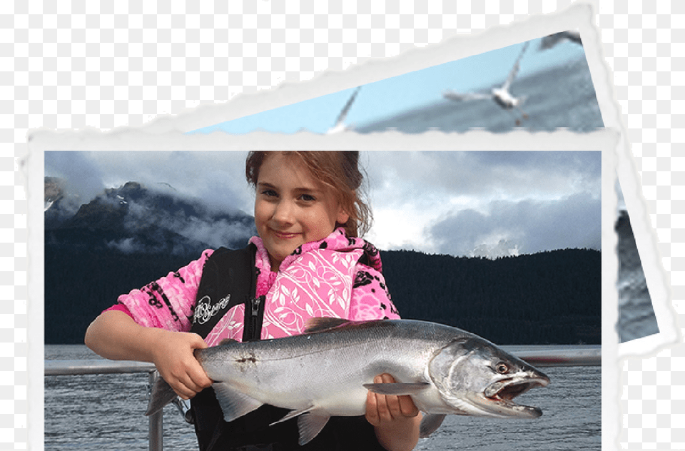 Photos In Our Album Showcase Our Anglers Experiencing Pull Fish Out Of Water, Animal, Sea Life, Coho, Female Free Png Download