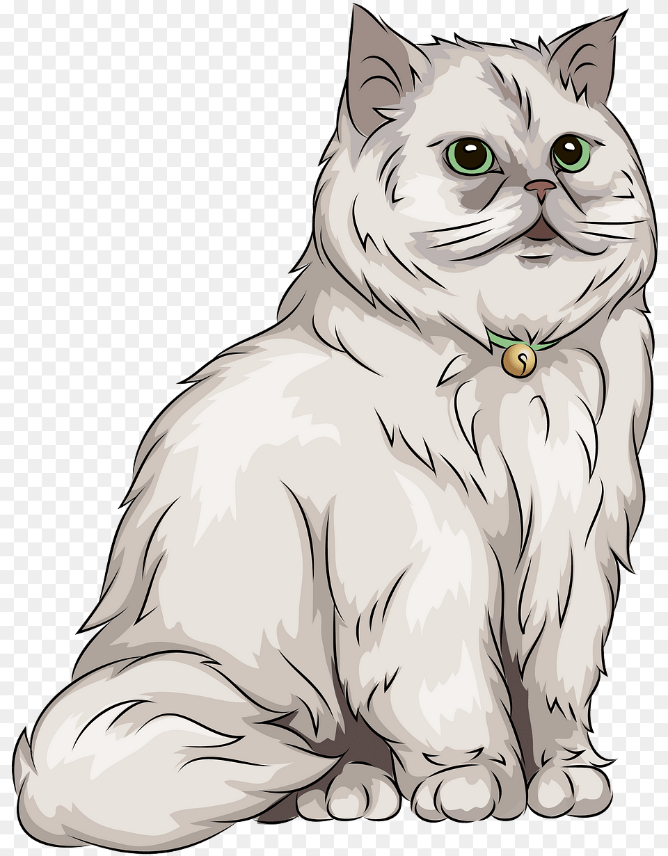 Photos Of Persian Cat, Angora, Mammal, Pet, Art Free Png Download