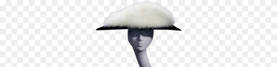 Photos The Best English Hats For American Crowns Animal Product, Clothing, Hat, Fur, Face Free Png Download