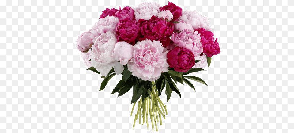 Photos V Fete Des Mamans Fleurs, Flower, Flower Arrangement, Flower Bouquet, Plant Free Png