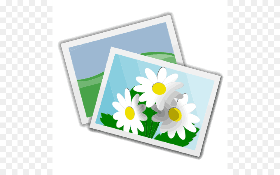 Photos With Nature Clip Arts For Web, Daisy, Envelope, Flower, Greeting Card Png Image