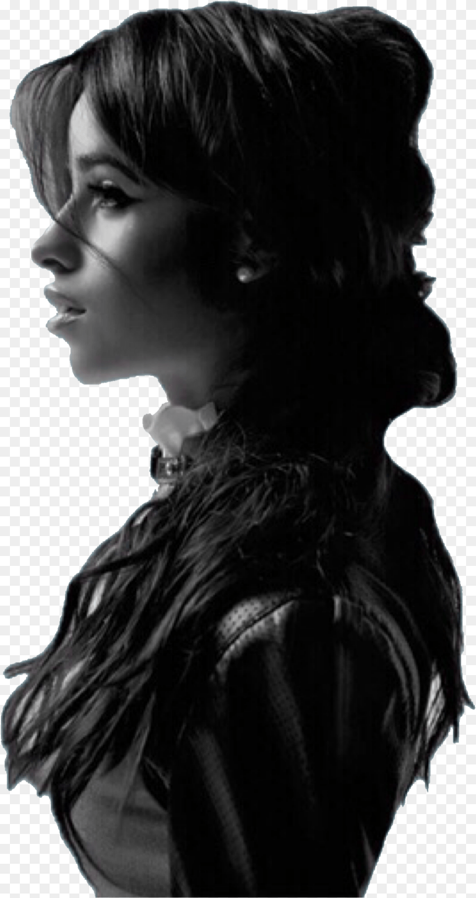 Photoshoot Camila Cabello Black And White, Adult, Portrait, Photography, Person Png