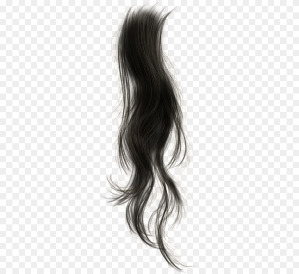 Photoshop Actions Wigs Hairdos Black Hair Strands, Adult, Female, Person, Woman Png