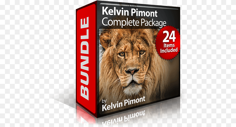 Photoshop Brushes Pack, Animal, Lion, Mammal, Wildlife Free Transparent Png