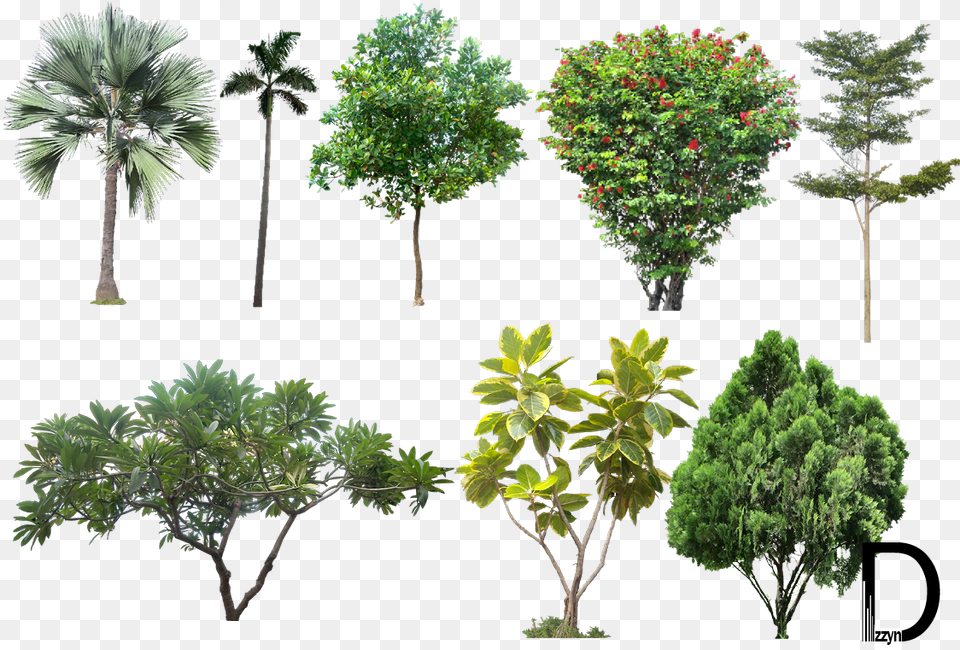 Photoshop Bushes Background High Resolution Trees, Vegetation, Tree, Leaf, Plant Free Transparent Png