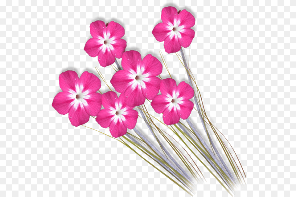 Photoshop Clipart Format Photoshop Flower Background New, Plant, Anther, Flower Arrangement, Flower Bouquet Png Image
