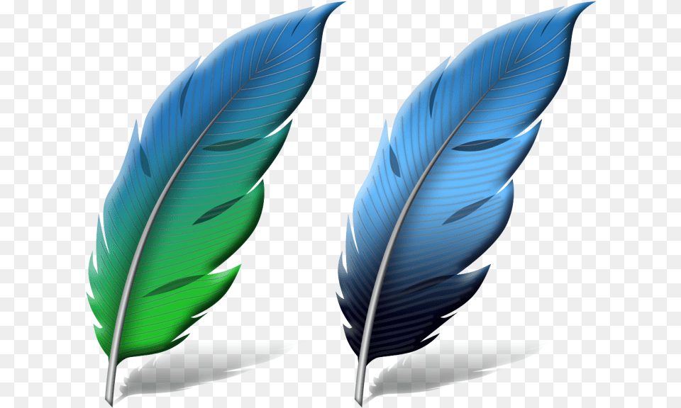 Photoshop Feather Logo 7 Image Photoshop Feather Logo, Leaf, Plant, Bottle, Accessories Free Png Download