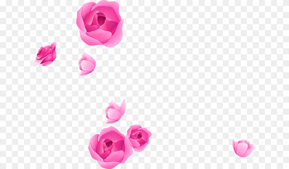 Photoshop Flower Adobe Portable Rose Graphics Border Flowers For Photoshop, Petal, Plant, Tulip Png