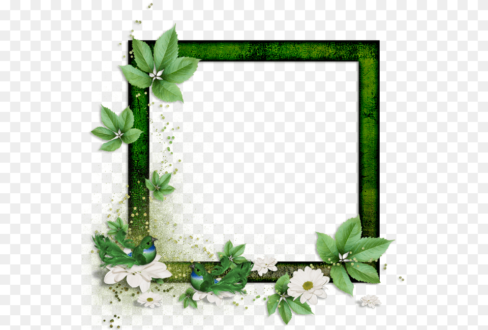 Photoshop Frames Template Postales De Todos Los Gustos, Plant, Leaf, Green, Pattern Free Png