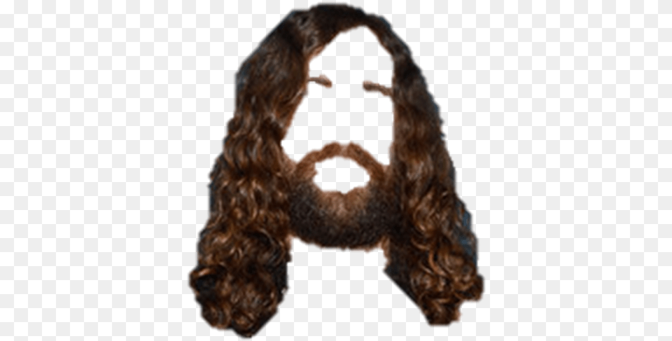 Photoshop Gaspard39s Hair Onto Anything, Face, Head, Person, Adult Png