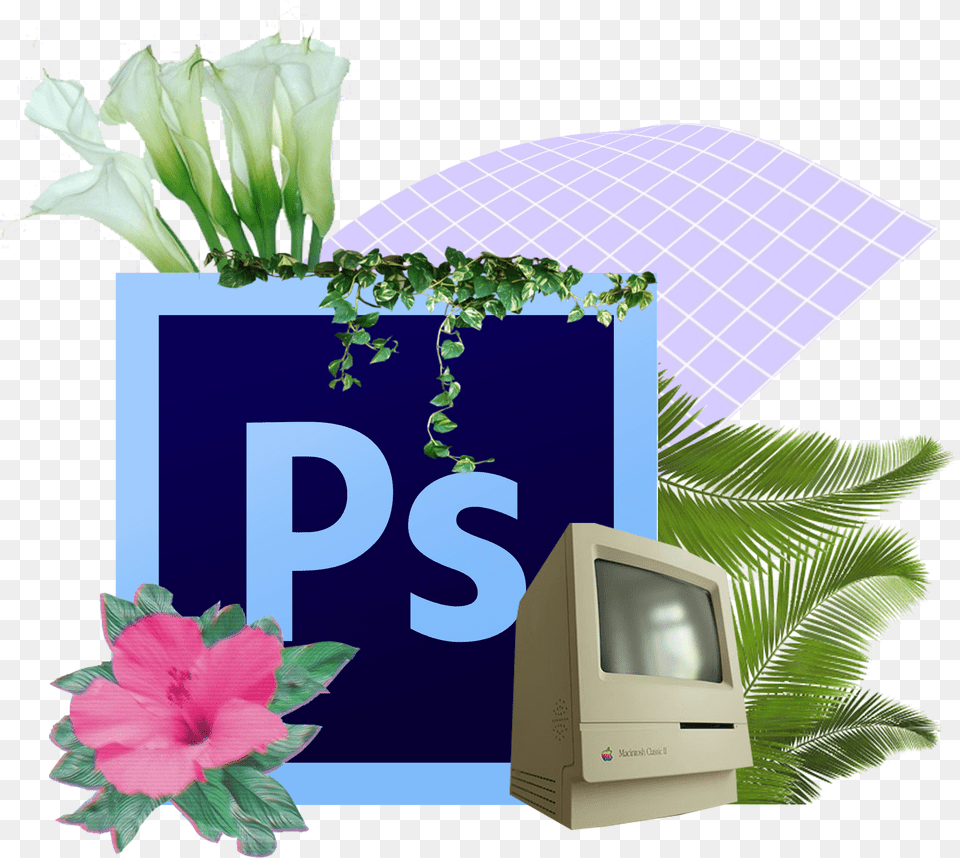Photoshop Icon, Computer Hardware, Plant, Monitor, Screen Free Png