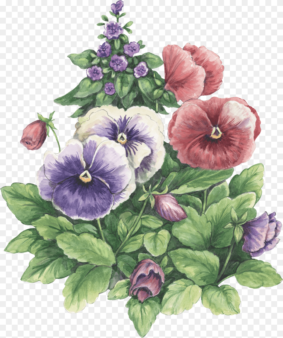 Photoshop Papo Decoupage Pictures Of Flowers Colouring Transparent Background Watercolor Flower, Plant Free Png