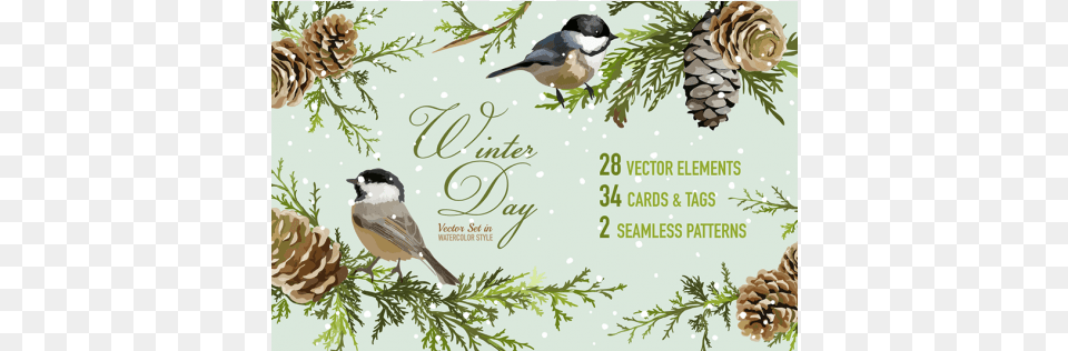 Photoshop Poster Design Flyer Illustration Vector Christmas Day, Conifer, Plant, Tree, Animal Free Transparent Png
