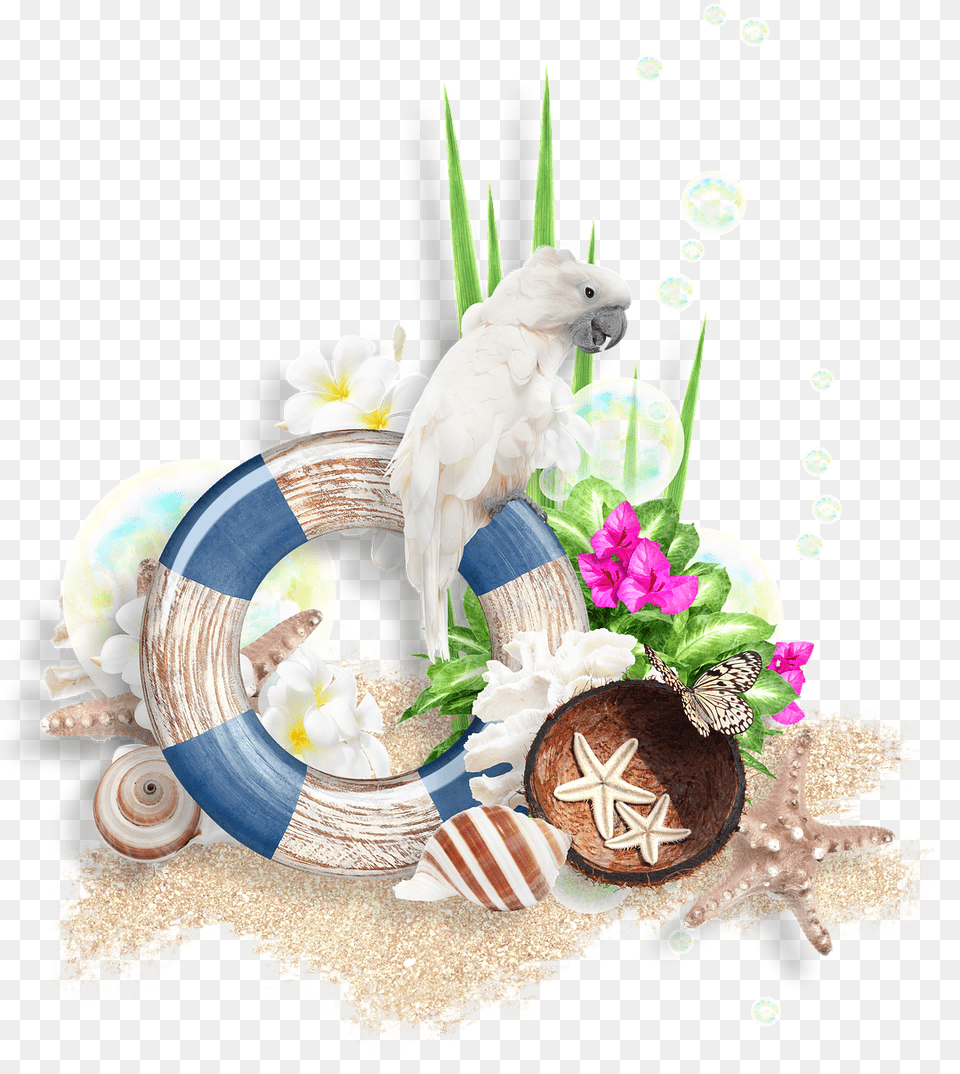 Photoshop Scrapbooking Ornament For Photos Decor Photograph, Animal, Bird, Flower, Flower Arrangement Png Image