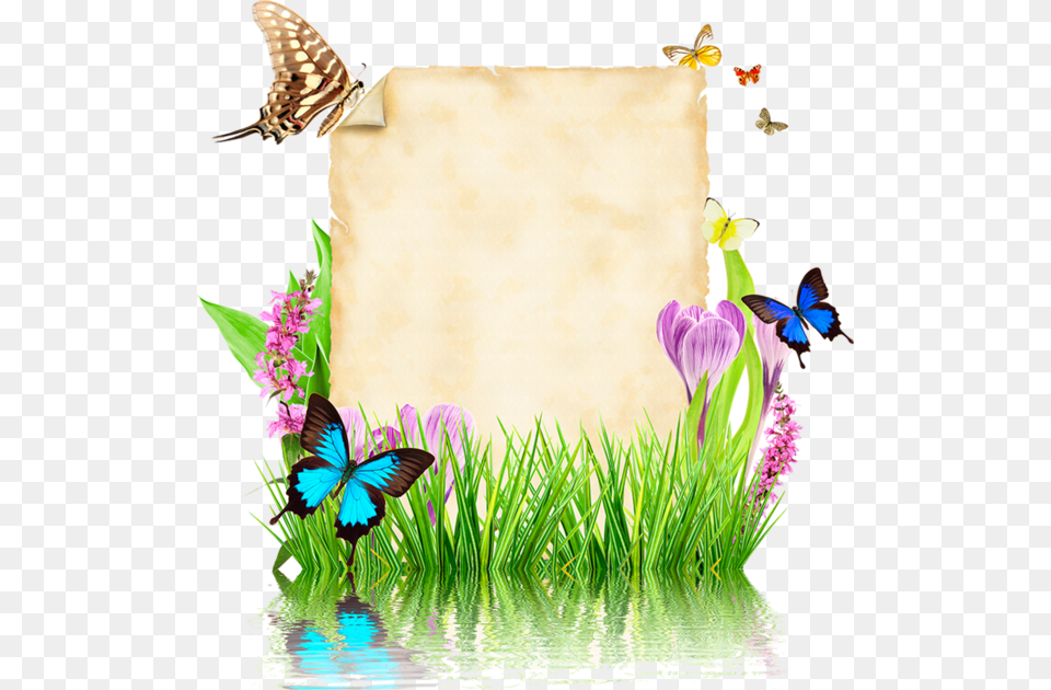 Photoshop Vector Design, Flower, Plant, Art, Collage Free Png Download