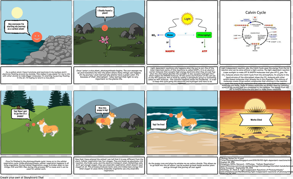 Photosynthesis Calvin Cycle, Book, Comics, Publication, Animal Png