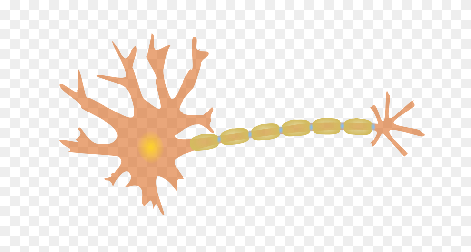 Phreed Single Neuron, Accessories Free Transparent Png