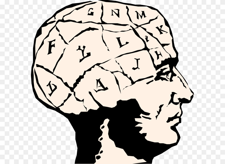 Phrenological Chart Maps Brain, Baby, Person, Stencil, Face Free Png