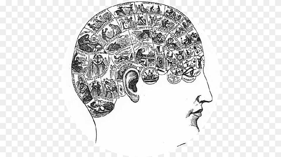 Phrenology Chart, Drawing, Art, Doodle, Wedding Free Transparent Png