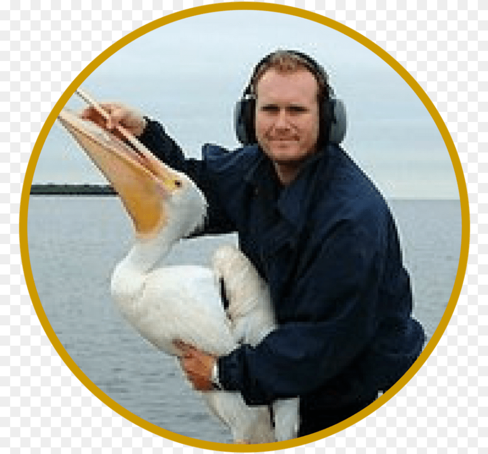 Phstaff Members Circles 8 Pelican, Waterfowl, Animal, Bird, Person Png