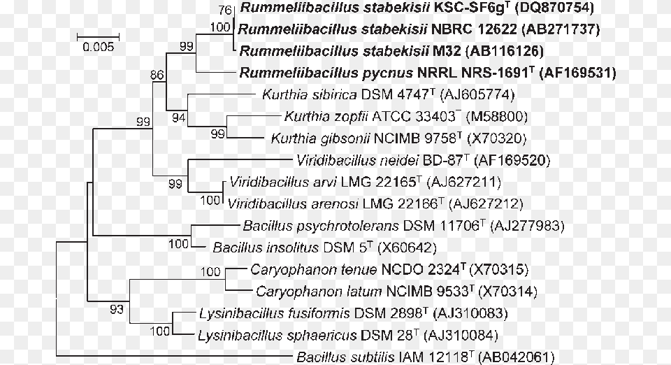 Phylogenetic Analysis Based On 16s Rrna Gene Sequences Document Free Png