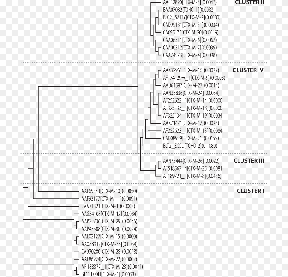 Phylogenetic Tree For Ctx M Enzymes Http Document, Page, Text, Diagram Free Transparent Png