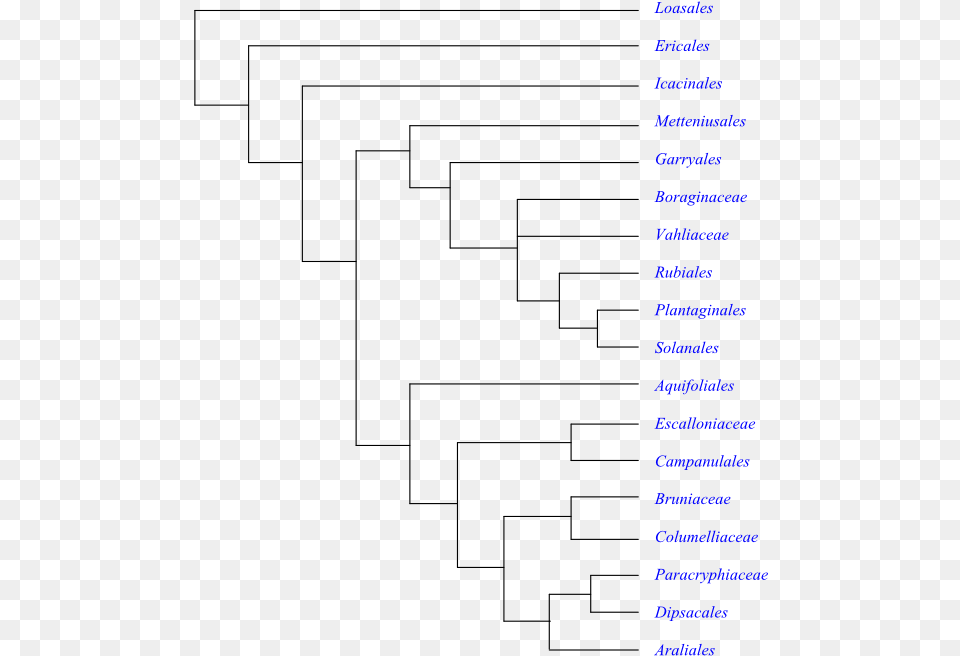 Phylogeny Of Asteridae Based On Dna Sequence Data Cyperaceae Phylogeny, Text Free Png