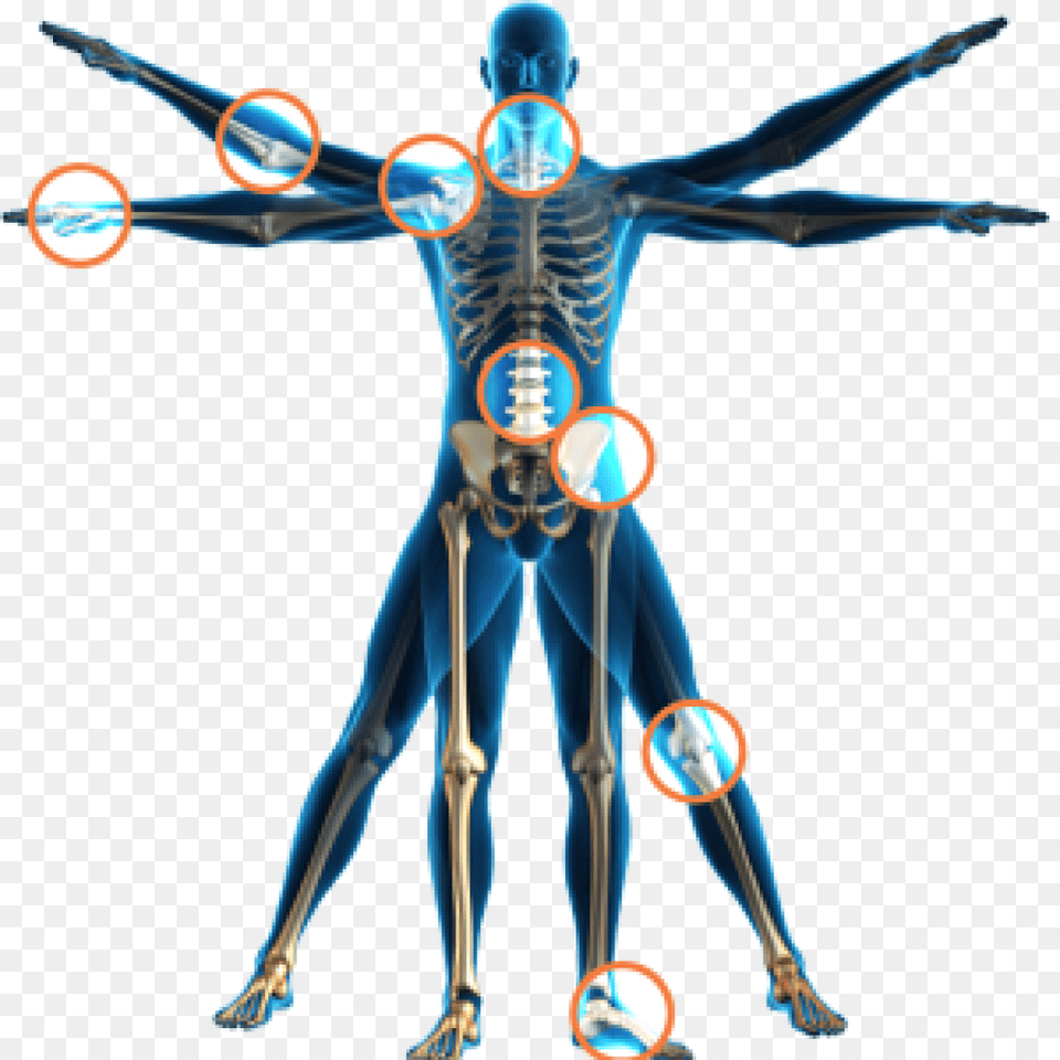 Physical Therapy Health Spinal Adjustment Human Body Physical Therapy, Person, Skeleton Free Png Download
