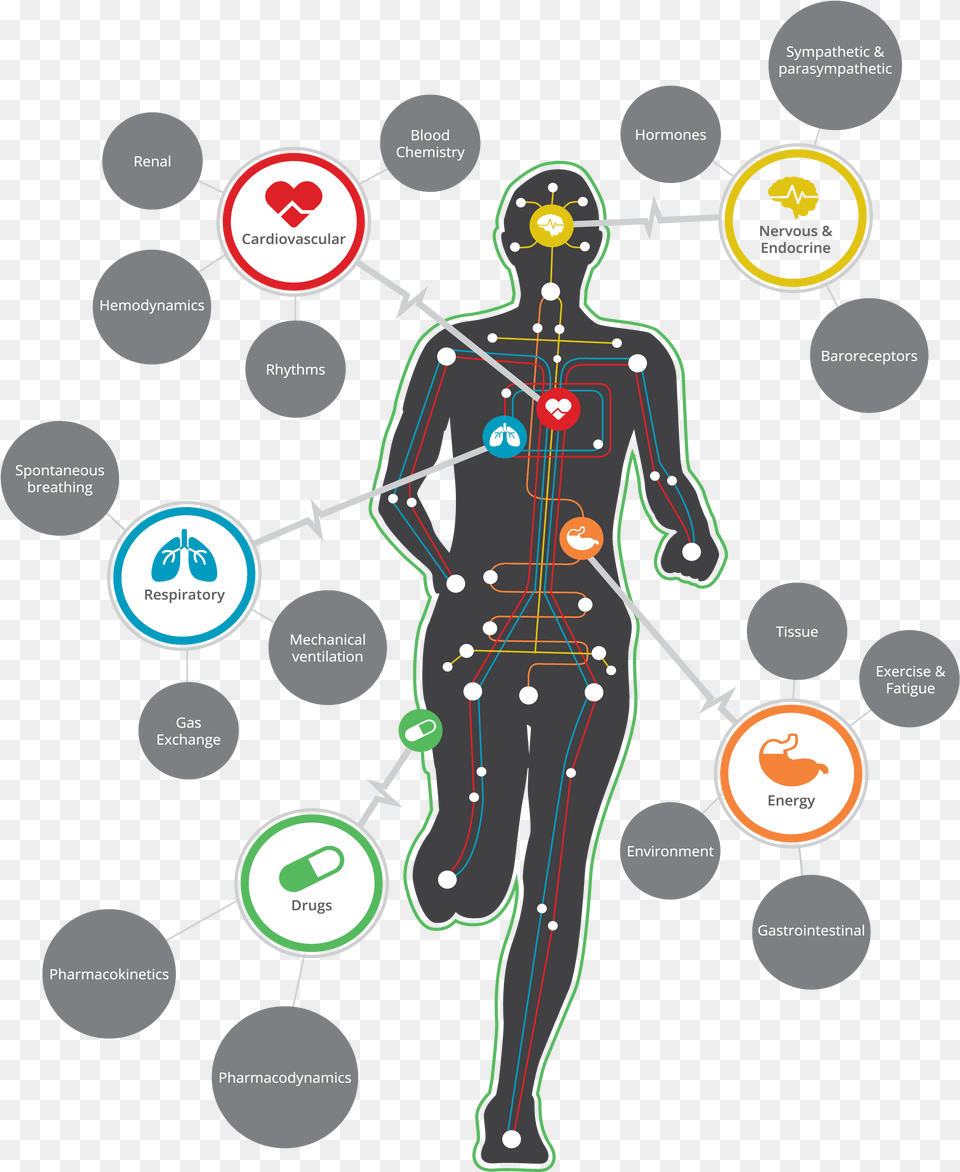 Physiology, Chart, Plot, Person Png Image