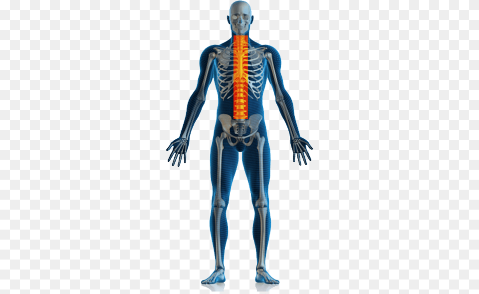 Physiotherapy All Body Pain, Adult, Female, Person, Woman Free Png