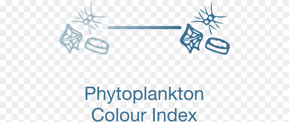 Phytoplankton Colour Index, Outdoors, Face, Head, Nature Png
