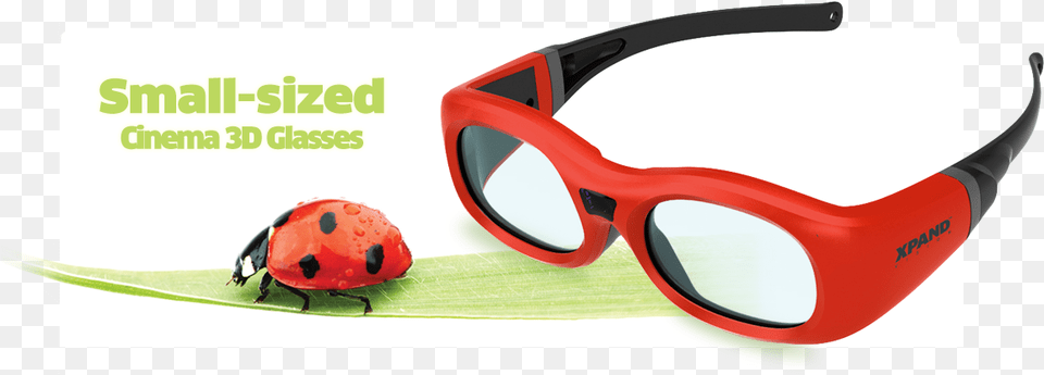 Pi Cinema 3d Glasses Ladybug, Accessories, Animal, Insect, Invertebrate Free Png Download