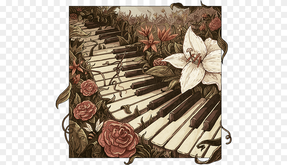 Piano Cd Cover On Behance Music Piano Art Drawing, Flower, Plant, Petal Free Png Download