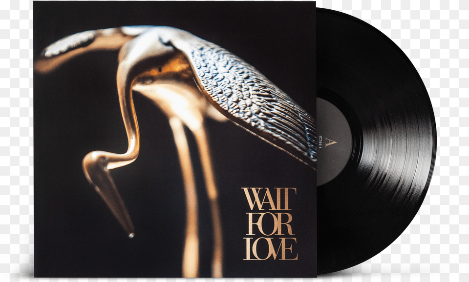 Pianos Become The Teeth Wait For Loveclass Pianos Become The Teeth Wait For Love, Animal, Bird Free Png Download