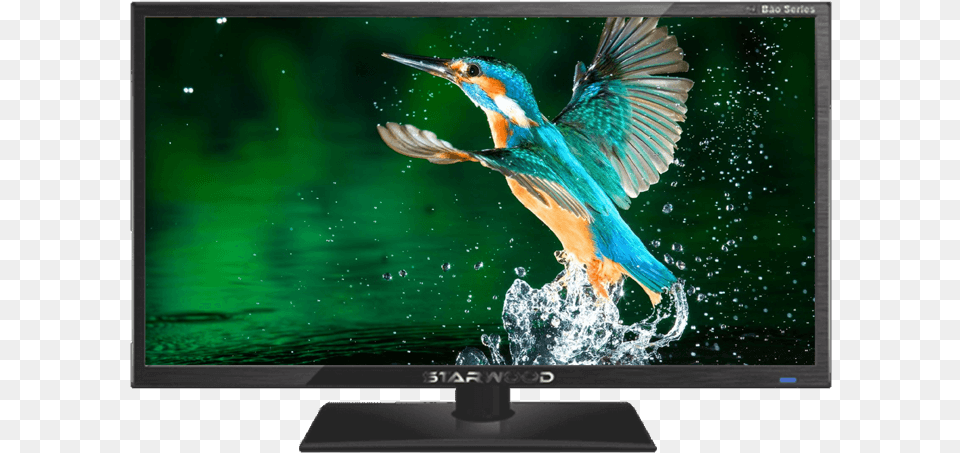 Pic Bird Flying In Water, Computer Hardware, Electronics, Hardware, Monitor Free Png
