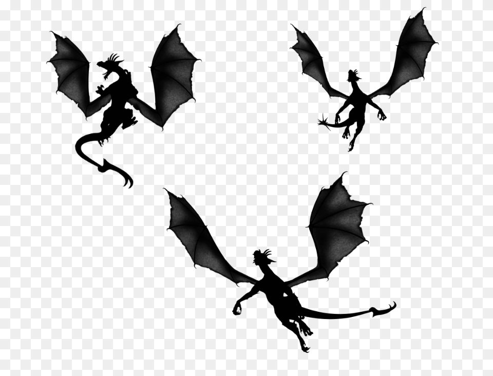 Pic Of Dragons, Gray Free Transparent Png