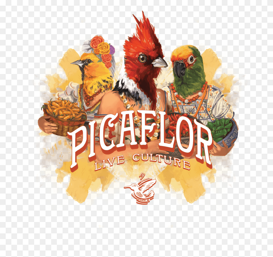 Picaflor Birdladies Culture, Animal, Bird, Chicken, Fowl Png