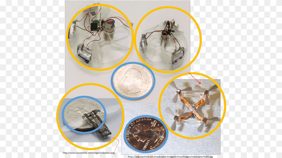 Piccolissimo Drone, Coin, Money, Animal, Insect Free Transparent Png